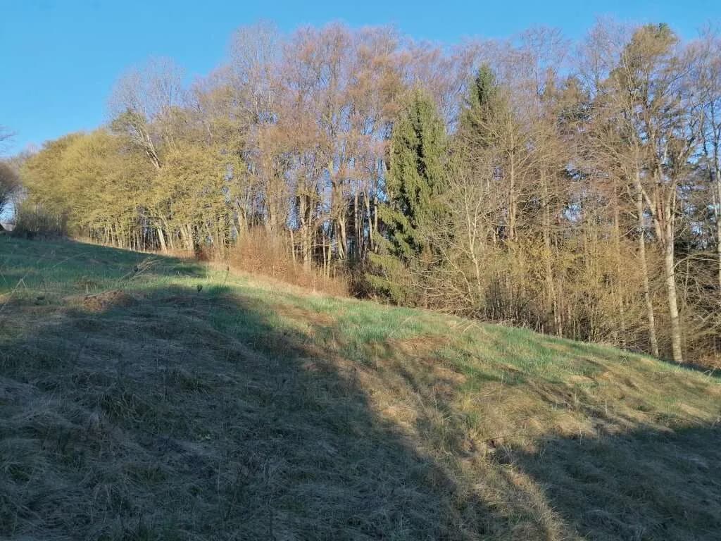 Haus kaufen in Leibnitz – 99,98 m², € 150.000 – Bild 7 von 8