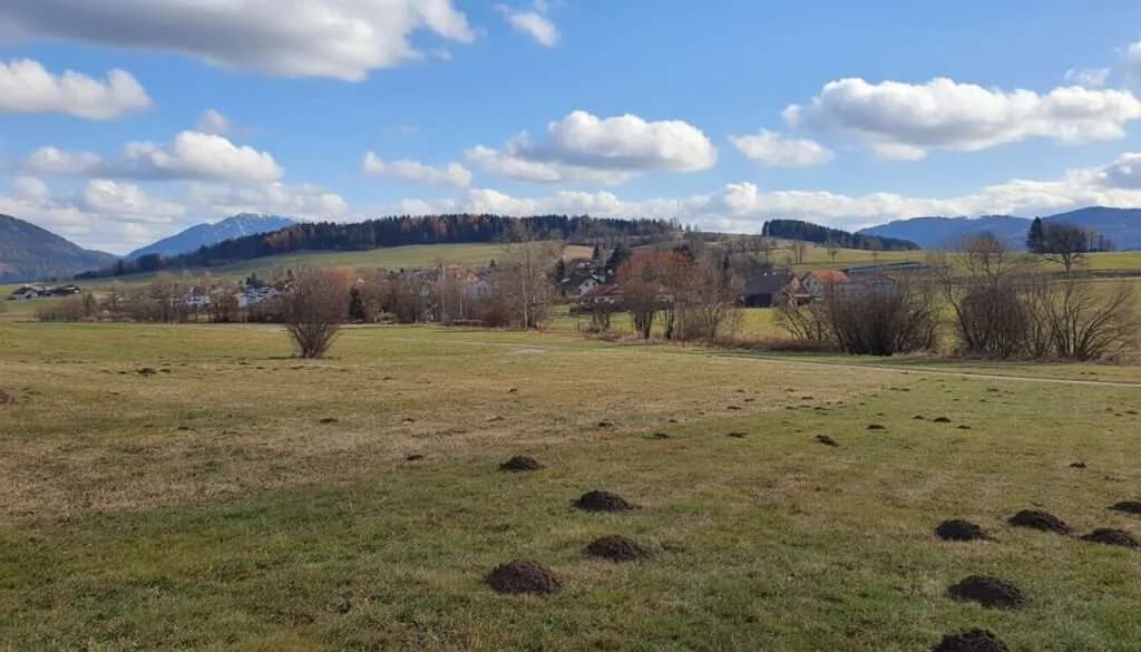 Grundstück kaufen in Leoben – 1 587 m², € 75.000 – Bild 8 von 8