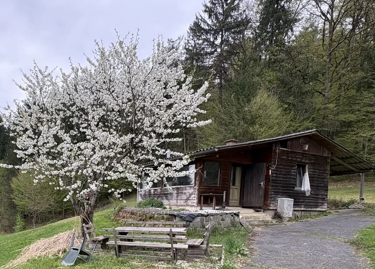 Grundstück kaufen in Leibnitz – 4 820 m², € 210.000 – Bild 7 von 8