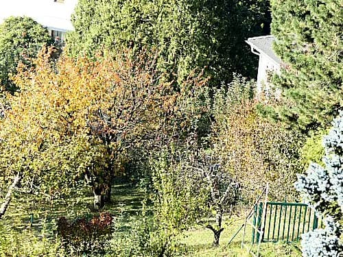 Grundstück kaufen in Sankt Pölten Land – 1 186 m² – Bild 3 von 11