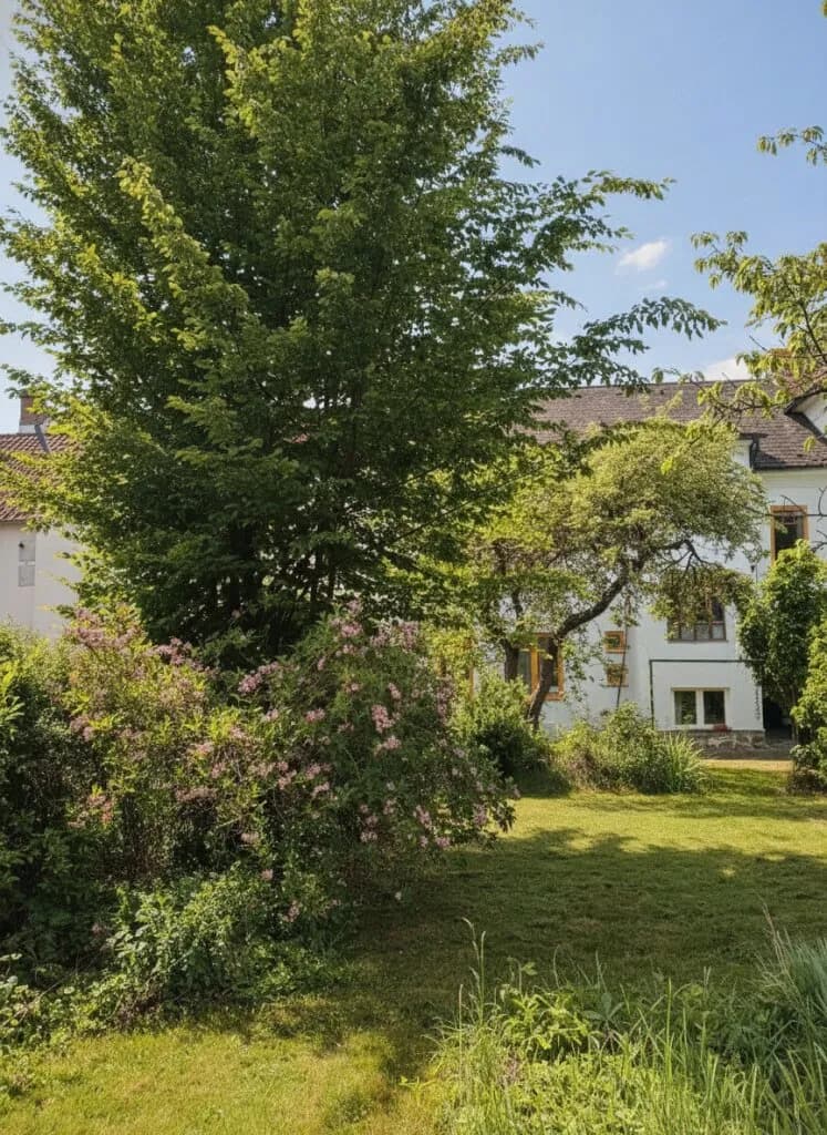 5-Zimmer-Immobilie kaufen in Gmünd – 115 m², € 255.000 – Bild 3 von 20