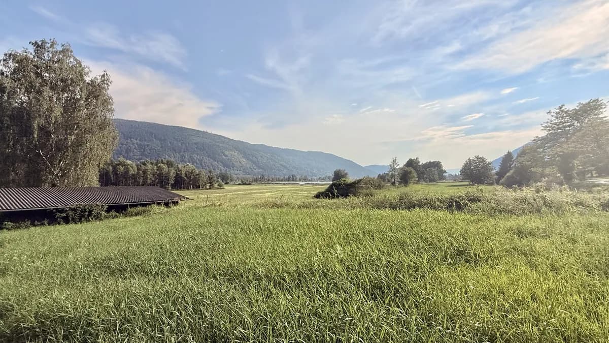 Grundstück kaufen in Feldkirchen – 11 381 m², € 78.000