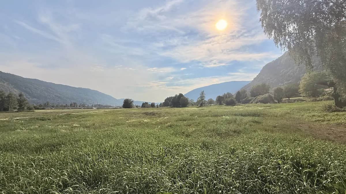 Grundstück kaufen in Feldkirchen – 11 381 m², € 78.000 – Bild 2 von 3
