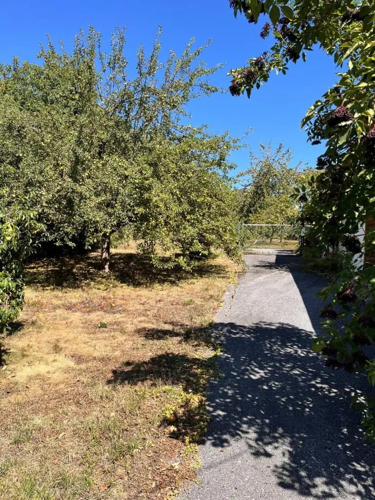 3-Zimmer-Haus kaufen in Oberwart – 90,5 m², € 125.000 – Bild 6 von 40