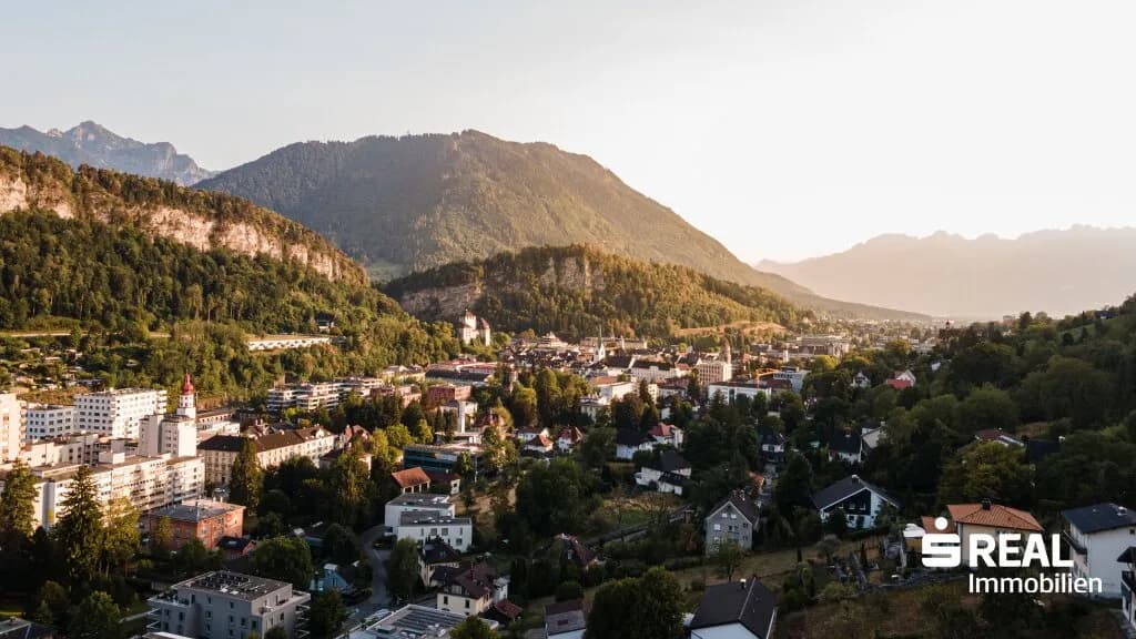 Grundstück kaufen in Feldkirch – 11 390 m², € 3.500.000 – Bild 4 von 22