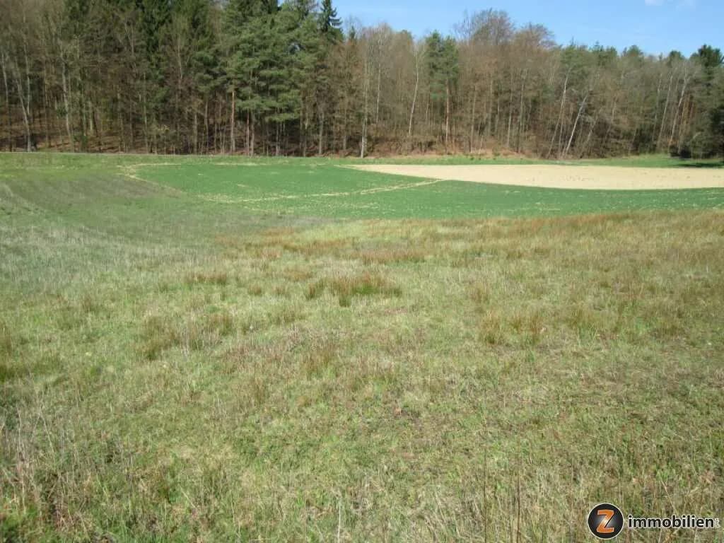 Grundstück kaufen in Jennersdorf – 2 791 m², € 75.000