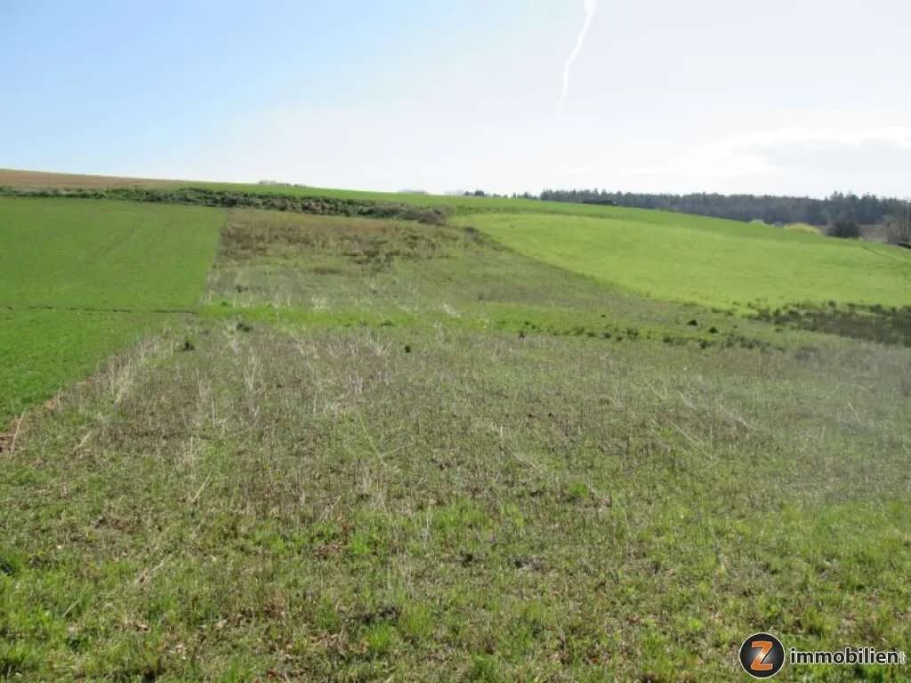 Grundstück kaufen in Jennersdorf – 2 791 m², € 75.000 – Bild 2 von 4