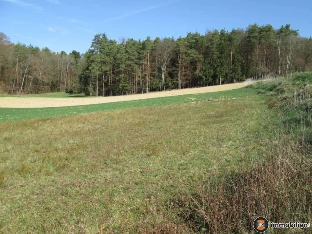 Grundstück kaufen in Jennersdorf – 2 791 m², € 75.000 – Bild 3 von 4