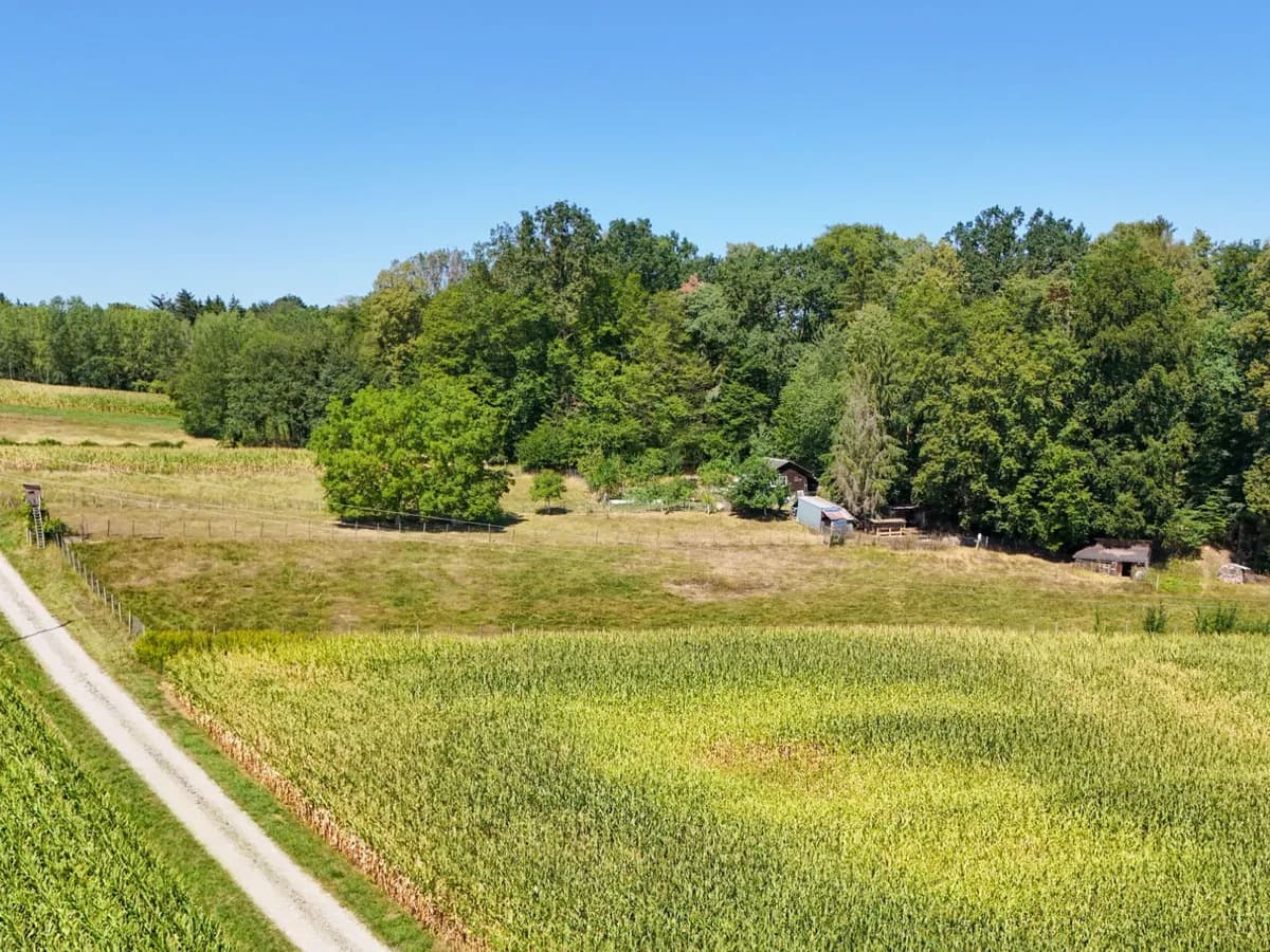 Grundstück kaufen in Hartberg-Fürstenfeld – 8 742 m², € 69.000 – Bild 2 von 21