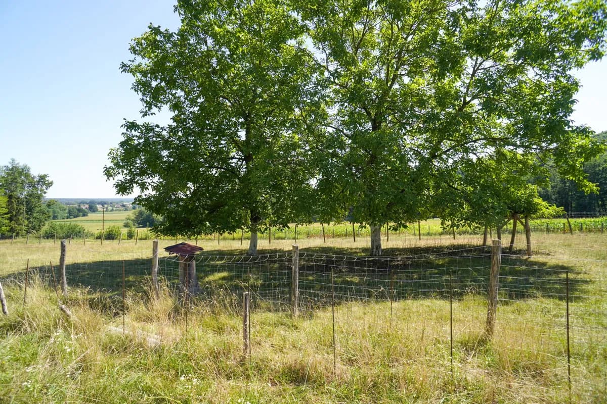 Grundstück kaufen in Hartberg-Fürstenfeld – 8 742 m², € 69.000 – Bild 5 von 21