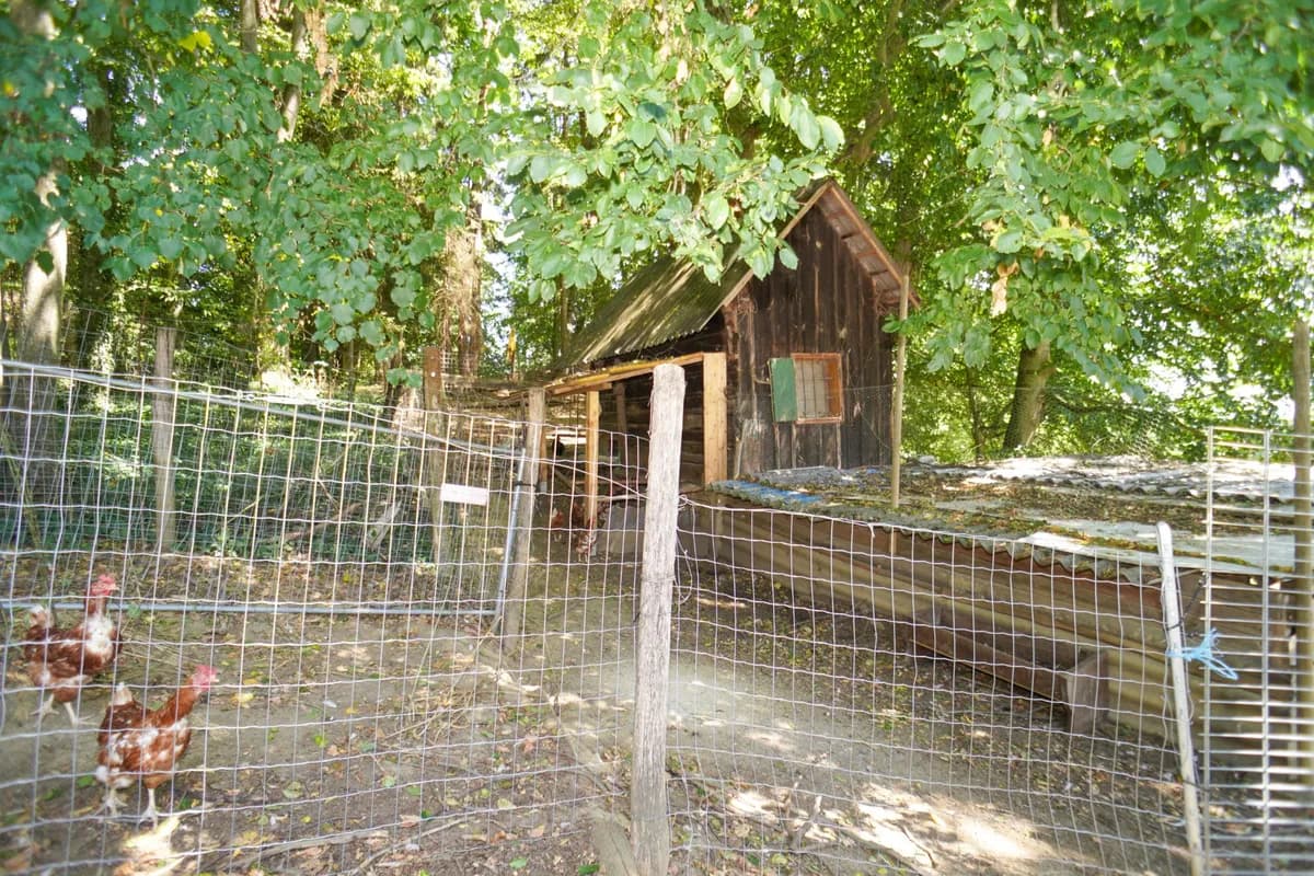 Grundstück kaufen in Hartberg-Fürstenfeld – 8 742 m², € 69.000 – Bild 12 von 21