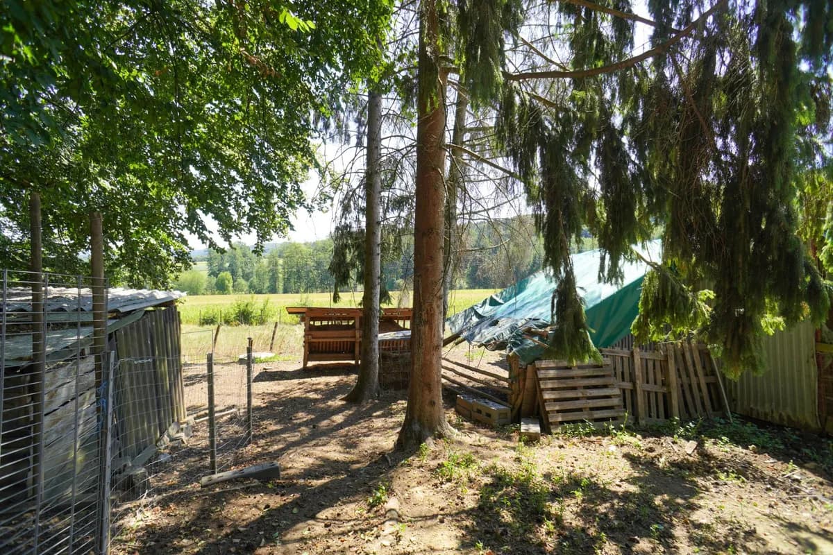 Grundstück kaufen in Hartberg-Fürstenfeld – 8 742 m², € 69.000 – Bild 13 von 21