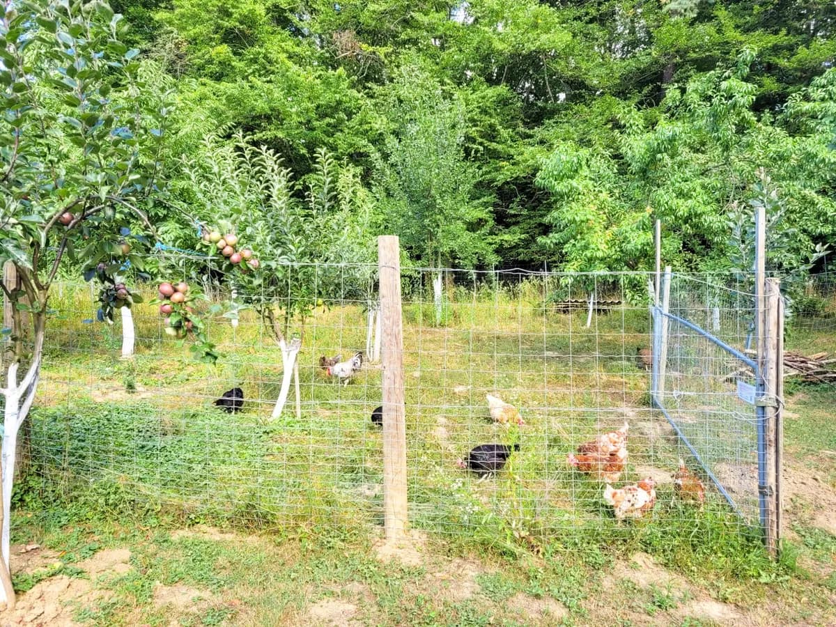 Grundstück kaufen in Hartberg-Fürstenfeld – 8 742 m², € 69.000 – Bild 14 von 21