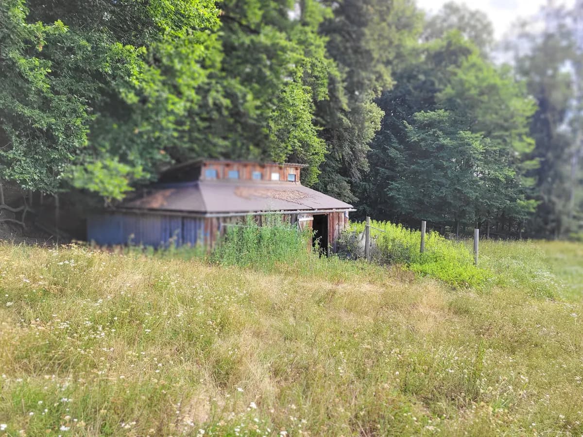 Grundstück kaufen in Hartberg-Fürstenfeld – 8 742 m², € 69.000 – Bild 15 von 21