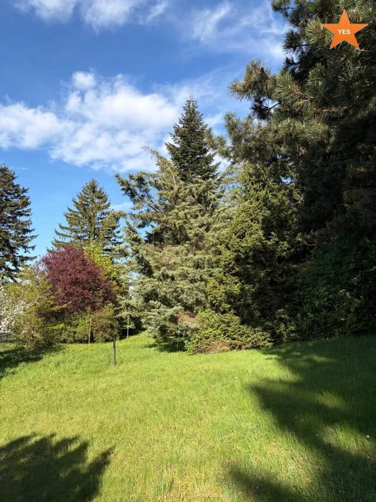 Grundstück kaufen in Tulln – 5 798 m², € 1.349.000 – Bild 2 von 22