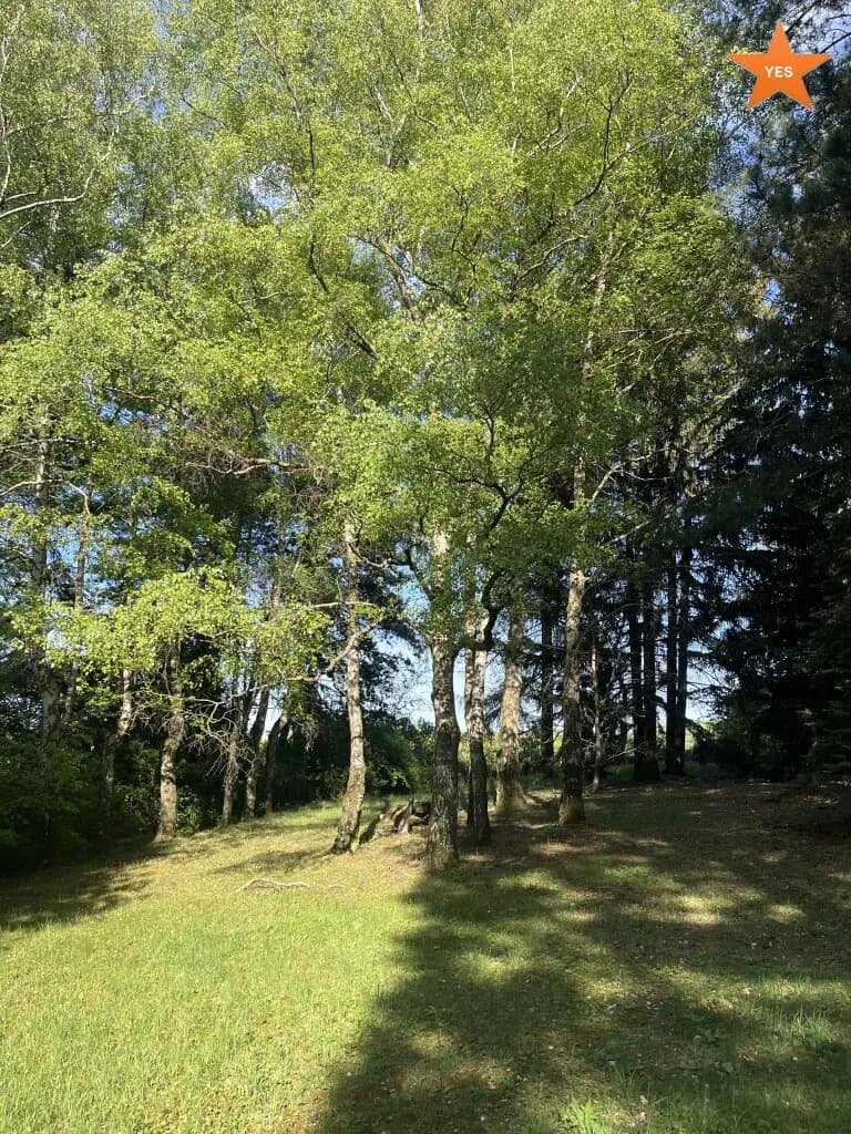 Grundstück kaufen in Tulln – 5 798 m², € 1.349.000 – Bild 4 von 22