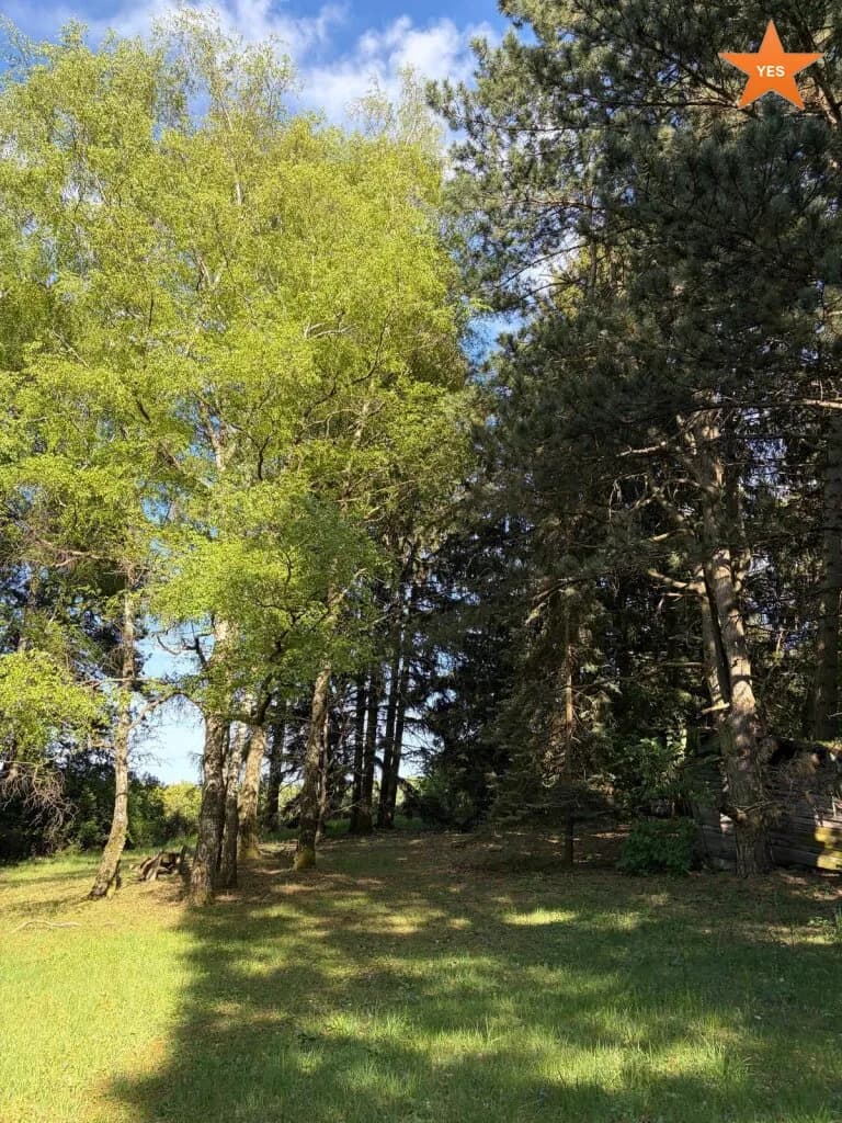 Grundstück kaufen in Tulln – 5 798 m², € 1.349.000 – Bild 15 von 22