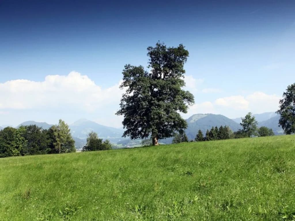 Gewerbeimmobilie kaufen in Kufstein – 183 m²