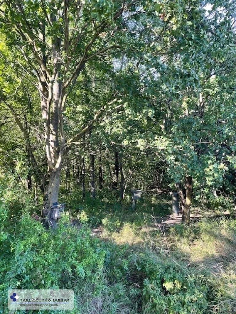 Grundstück kaufen in Tulln – 7 881 m², € 29.900 – Bild 4 von 9