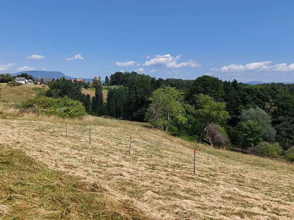 Grundstück kaufen in Graz-Umgebung – 531 m², € 54.000 – Bild 2 von 4