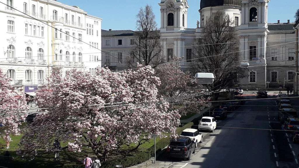 Wohnung mieten in Salzburg Stadt – 10 m², € 600 – Bild 3 von 4