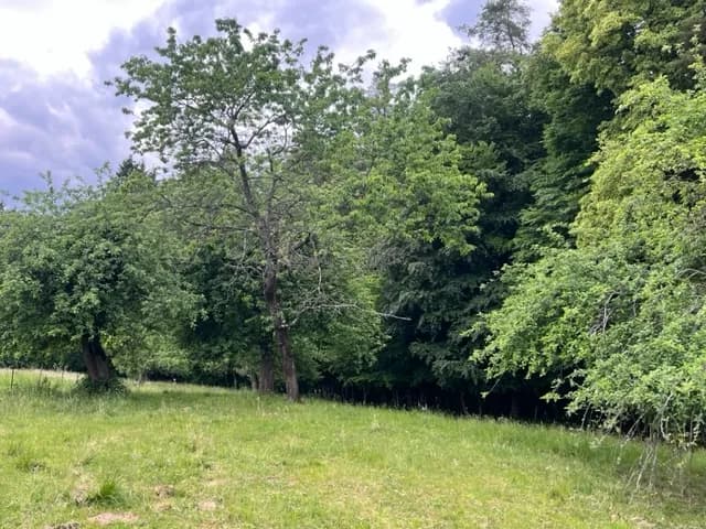 Grundstück kaufen in Leibnitz – 52 m², € 499.000 – Bild 17 von 48