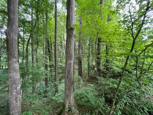Grundstück kaufen in Leibnitz – 52 m², € 499.000 – Bild 19 von 48