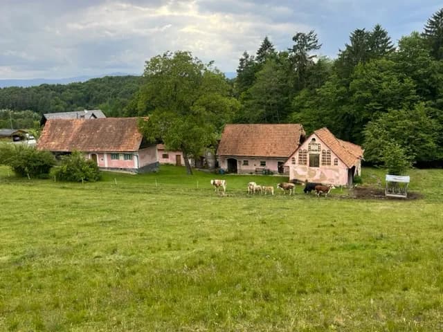 Grundstück kaufen in Leibnitz – 52 m², € 499.000 – Bild 27 von 48