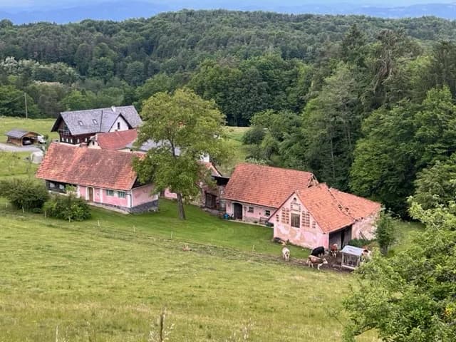 2-Zimmer-Immobilie kaufen in Leibnitz – 52 m², € 499.000 – Bild 4 von 44