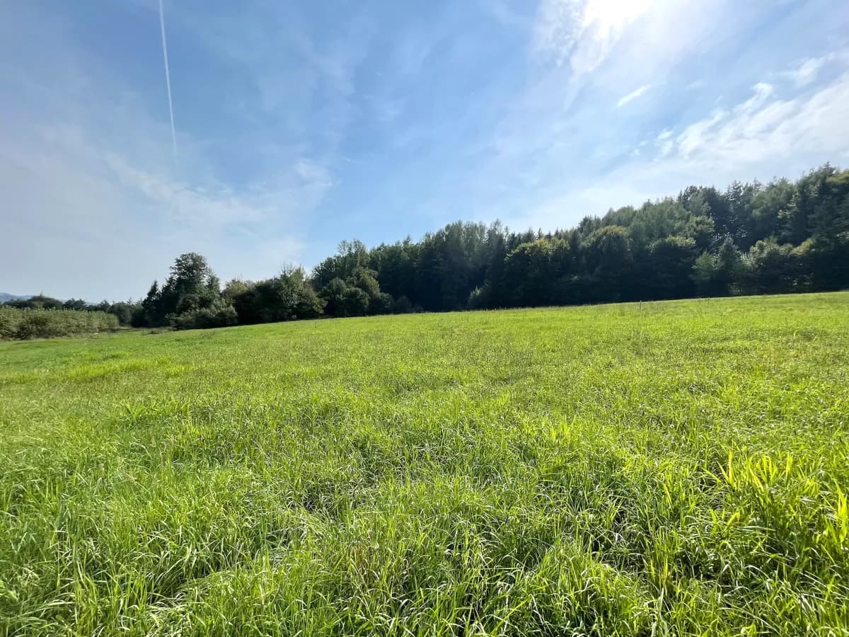 Grundstück kaufen in Weiz – 1 035 m², € 60.000 – Bild 2 von 8