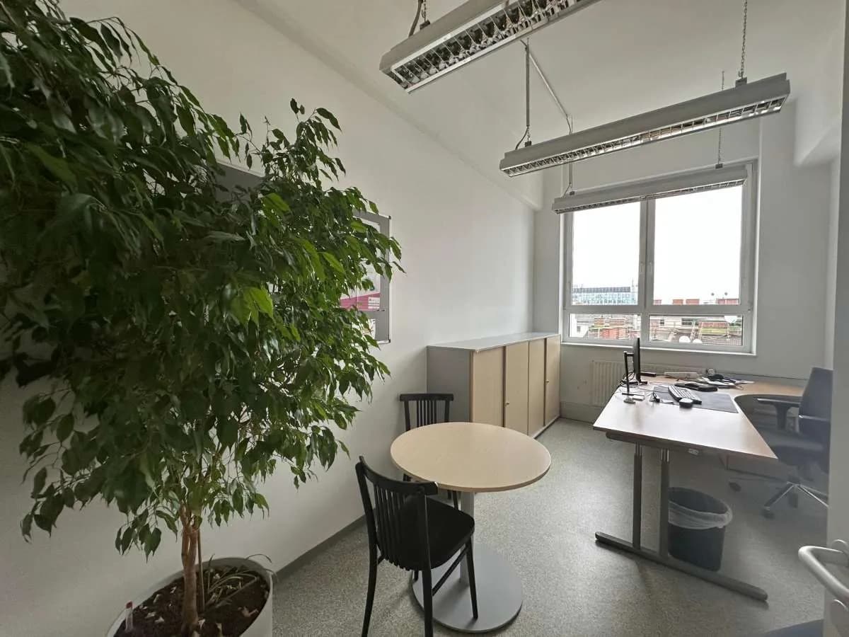 Gewerbeimmobilie mieten in Wien – 638 m², € 15 – Bild 3 von 17