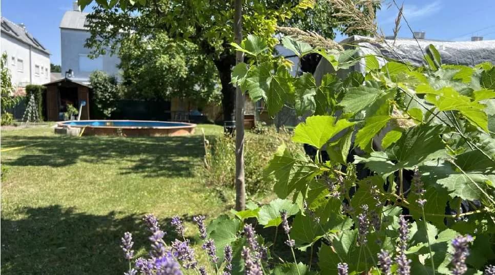 5-Zimmer-Haus mieten in Wien – 167 m², € 2.300 – Bild 2 von 24