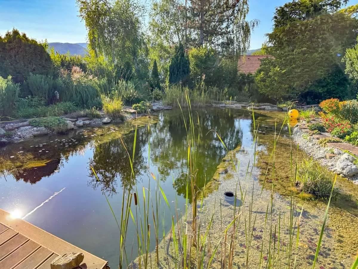6-Zimmer-Haus kaufen in Baden – 140 m², € 400.000 – Bild 6 von 11