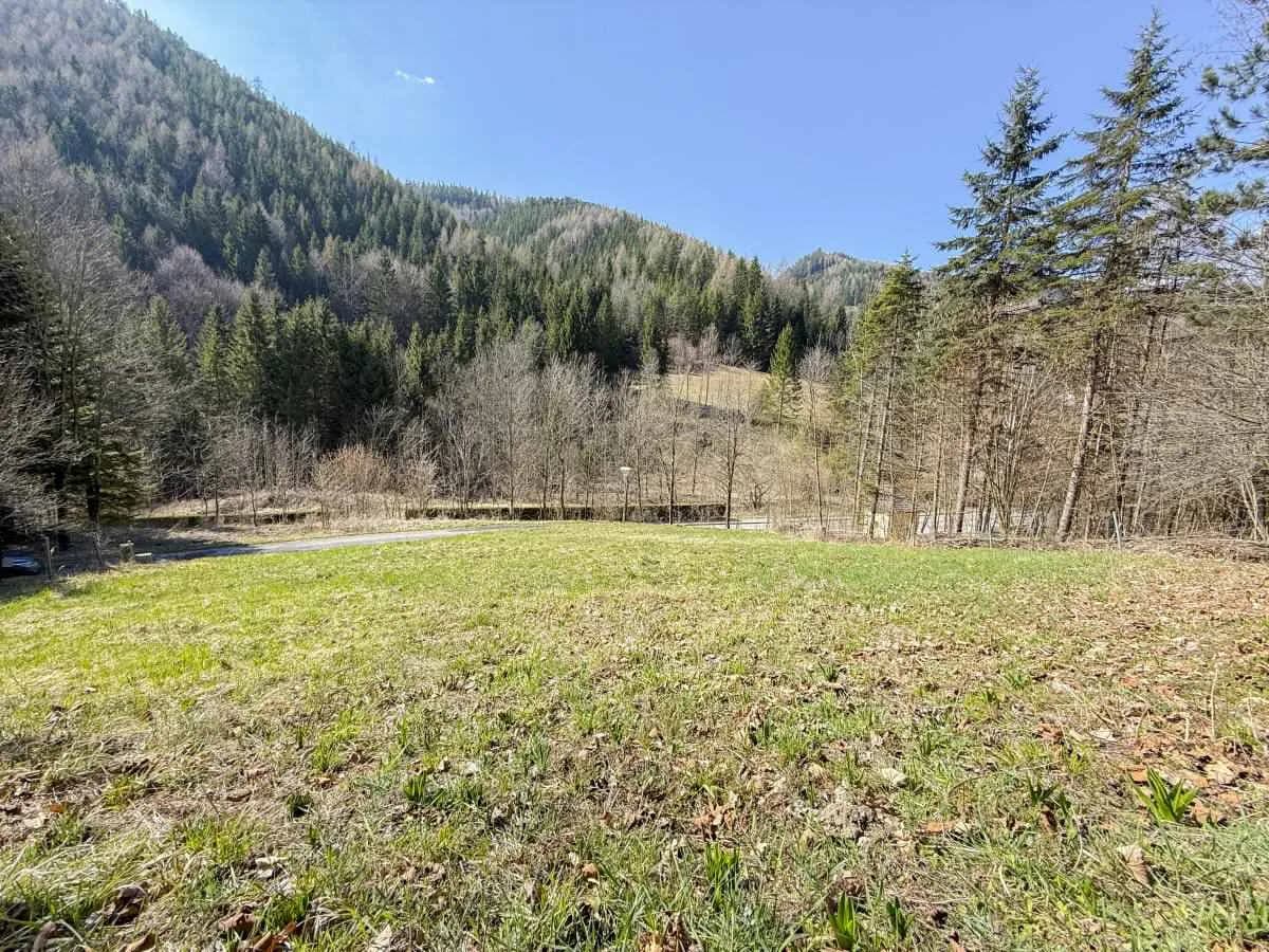Grundstück kaufen in Neunkirchen – 728 m², € 89.000 – Bild 2 von 9