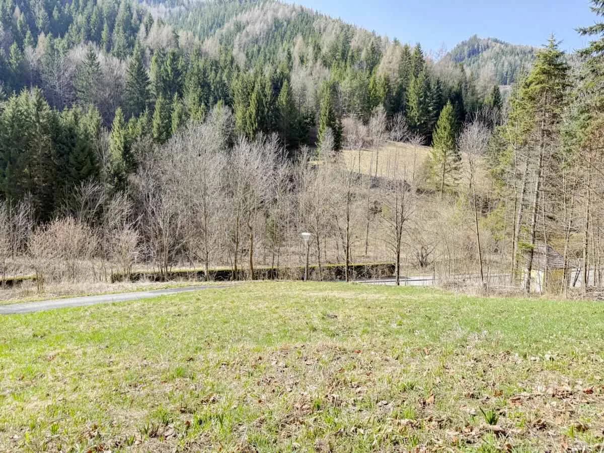 Grundstück kaufen in Neunkirchen – 728 m², € 89.000 – Bild 3 von 9