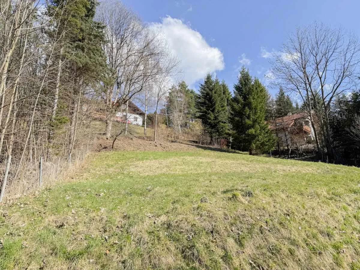 Grundstück kaufen in Neunkirchen – 728 m², € 89.000 – Bild 4 von 9