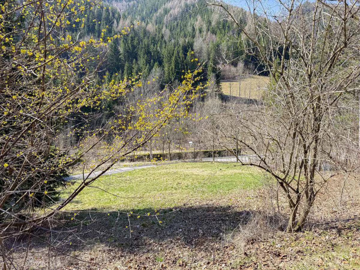 Grundstück kaufen in Neunkirchen – 728 m², € 89.000 – Bild 8 von 9