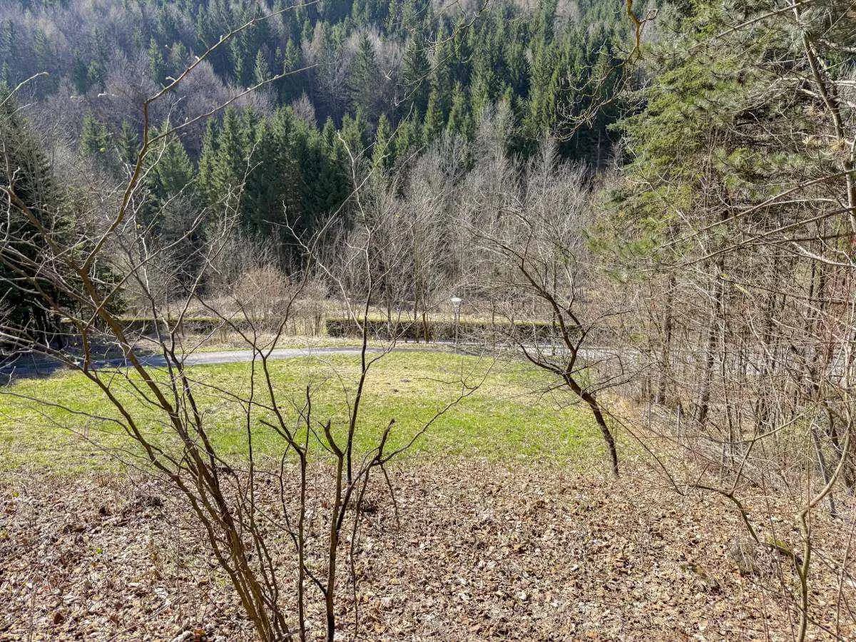 Grundstück kaufen in Neunkirchen – 728 m², € 89.000 – Bild 9 von 9