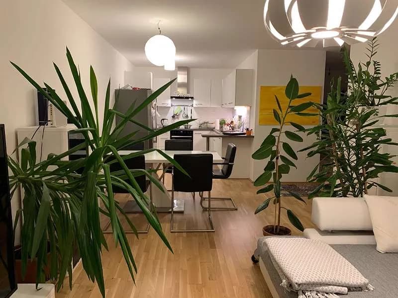 3-Zimmer-Wohnung mieten in Wien – 78 m², € 1.800 – Bild 4 von 10