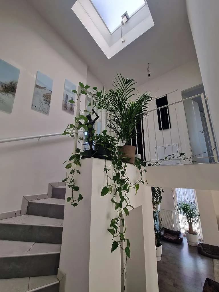 4-Zimmer-Haus kaufen in Mödling – 112 m², € 749.000 – Bild 11 von 26