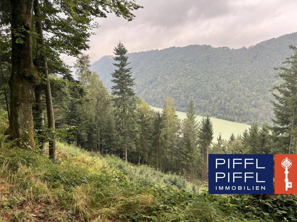 Grundstück kaufen in Eferding – 24 691 m²