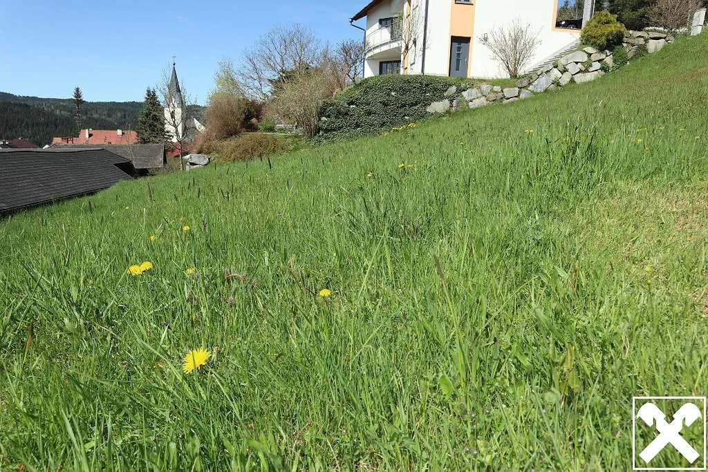 Grundstück kaufen in Freistadt – 810 m², € 19.594 – Bild 3 von 4