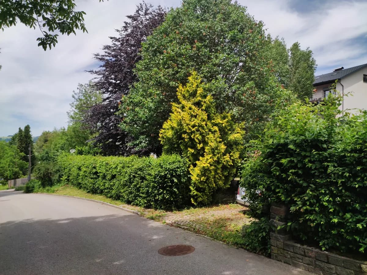 Grundstück kaufen in Rohrbach – 744 m², € 128.000 – Bild 9 von 11