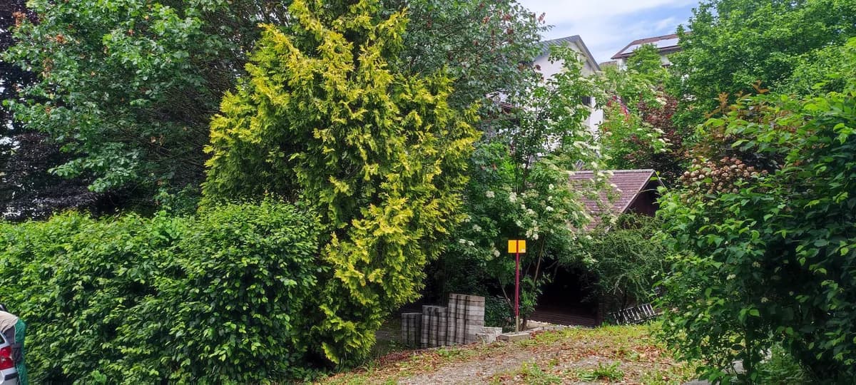 Grundstück kaufen in Rohrbach – 744 m², € 128.000 – Bild 10 von 11