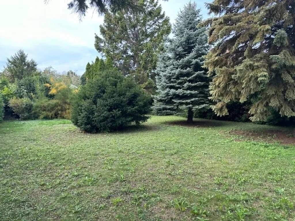 Grundstück kaufen in Baden – 1 312 m², € 595.000