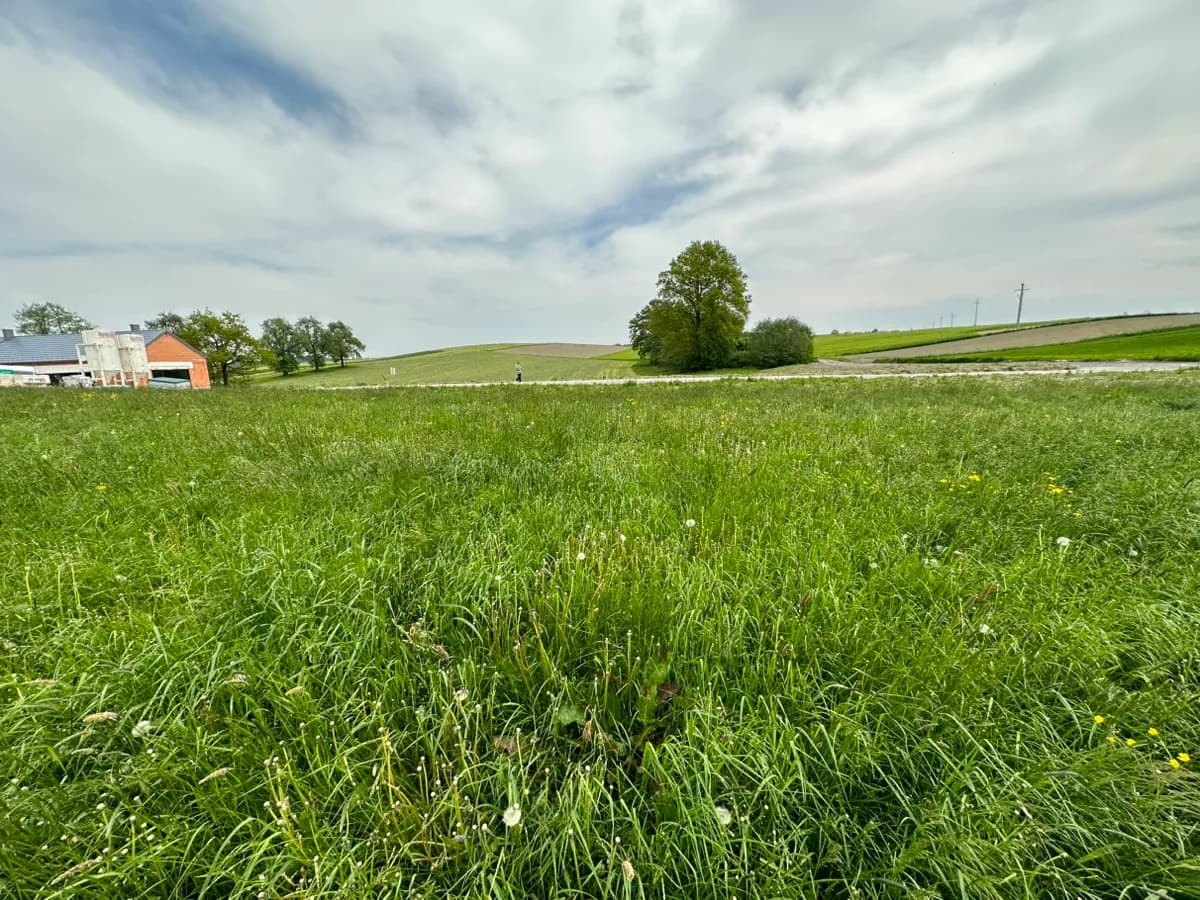 Grundstück kaufen in Schärding – 900 m², € 88.200 – Bild 3 von 4