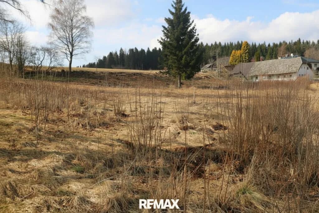 Grundstück kaufen in Rohrbach – 4 361 m², € 98.000