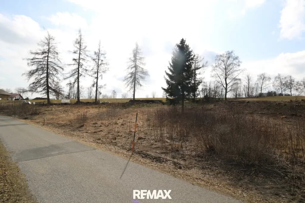 Grundstück kaufen in Rohrbach – 4 361 m², € 98.000 – Bild 7 von 7