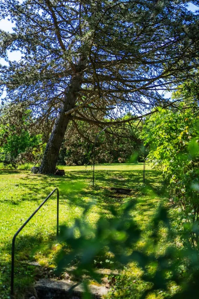 Immobilie kaufen in Wien – 1 670 m², € 2.760.000 – Bild 29 von 43