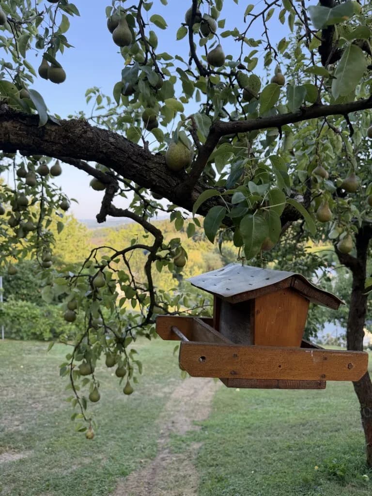 4-Zimmer-Haus mieten in Deutschlandsberg – 50 m², € 1.080 – Bild 4 von 24